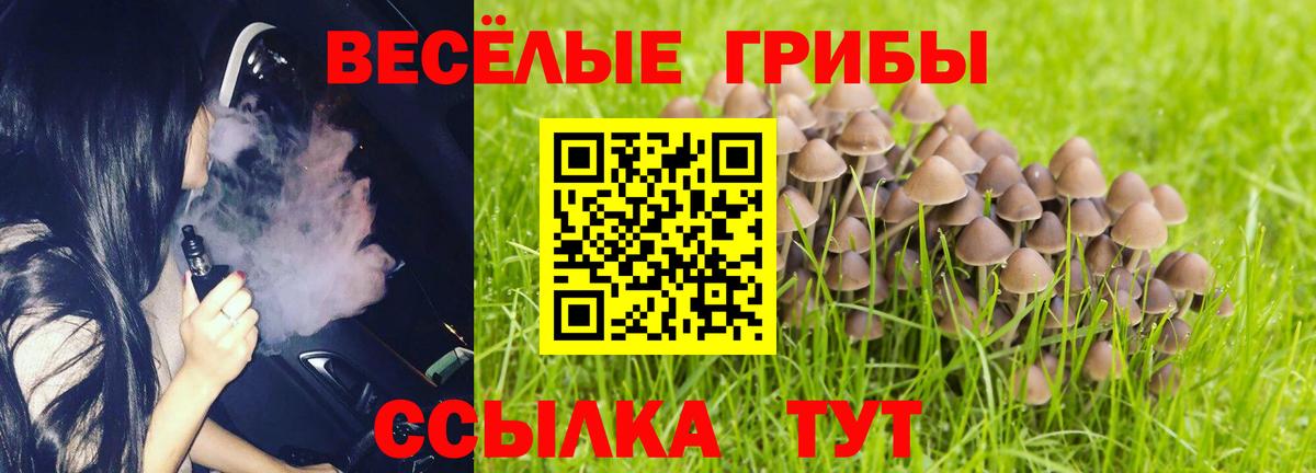 Псилоцибиновые грибы Magic Shrooms  Вход с VPN  Камень-на-Оби  Псилоцибиновые грибы Magic Shrooms 